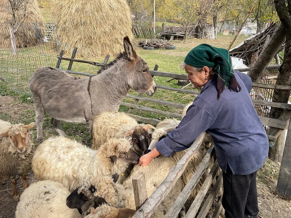 Original Carpathian Village Experience and Sinaia in one day tour preview 2